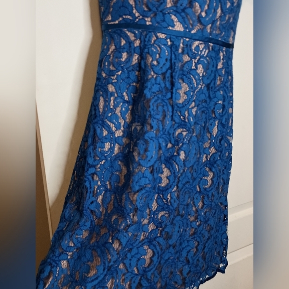 ADRIANNA PAPELL Dark Romantic Blue Lace Dress Burnout Floral Details(#1,031) - Picture 5 of 9